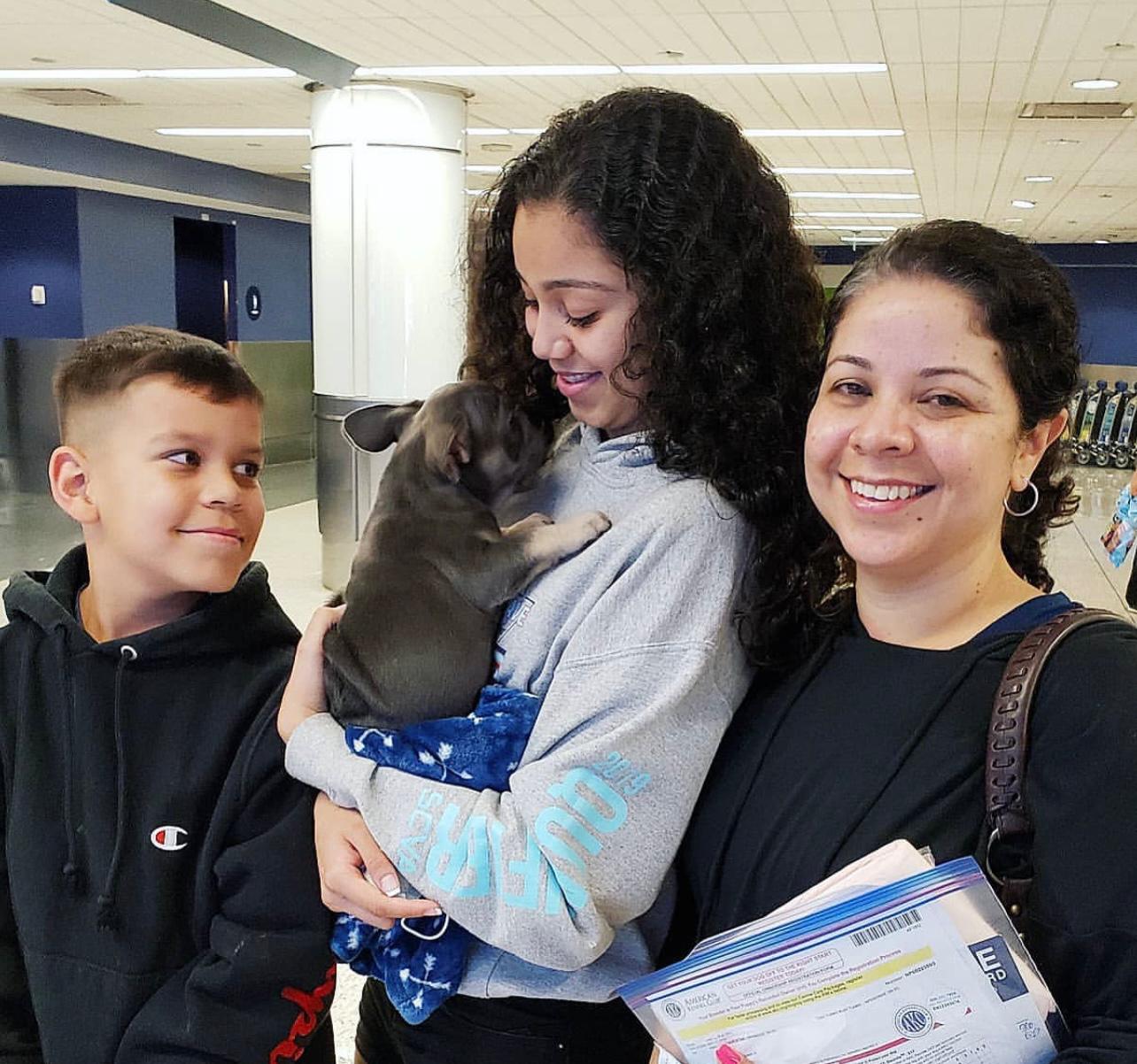 French Bulldog puppies for sale USA