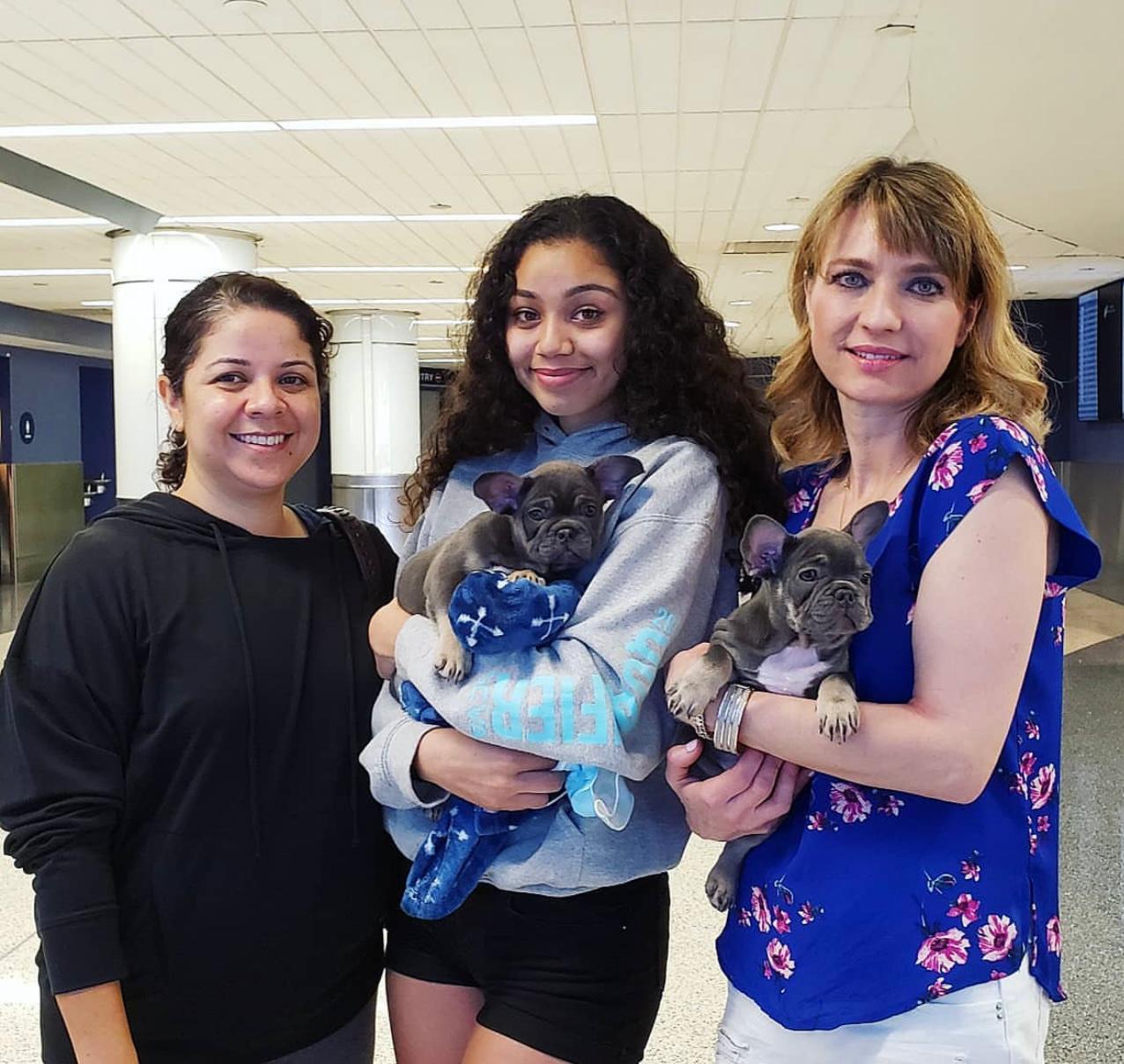 French Bulldog puppies for sale USA