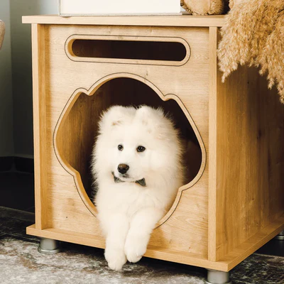 Foxie Modern Dog House